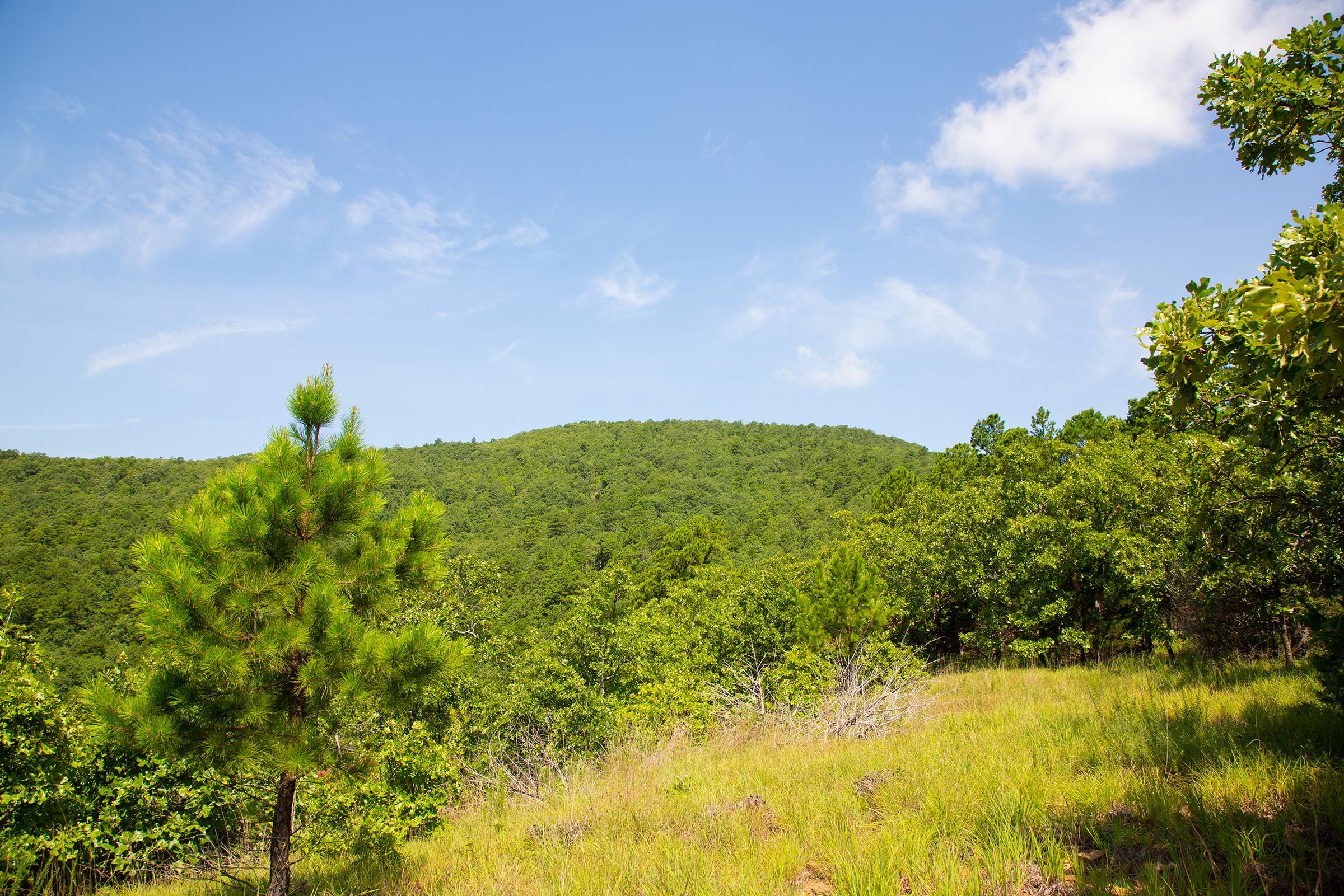 Tyler Stone Ranch Tract 82 photo 13