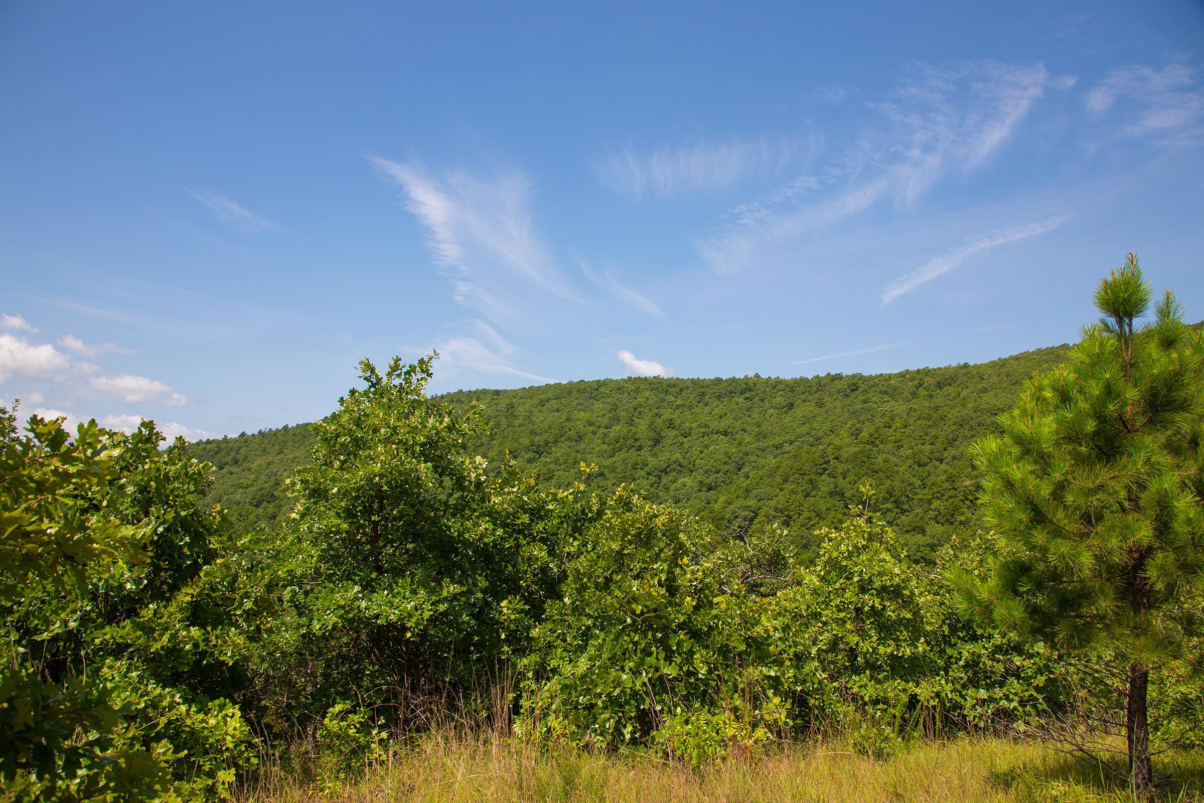 Tyler Stone Ranch Tract 82 photo 14