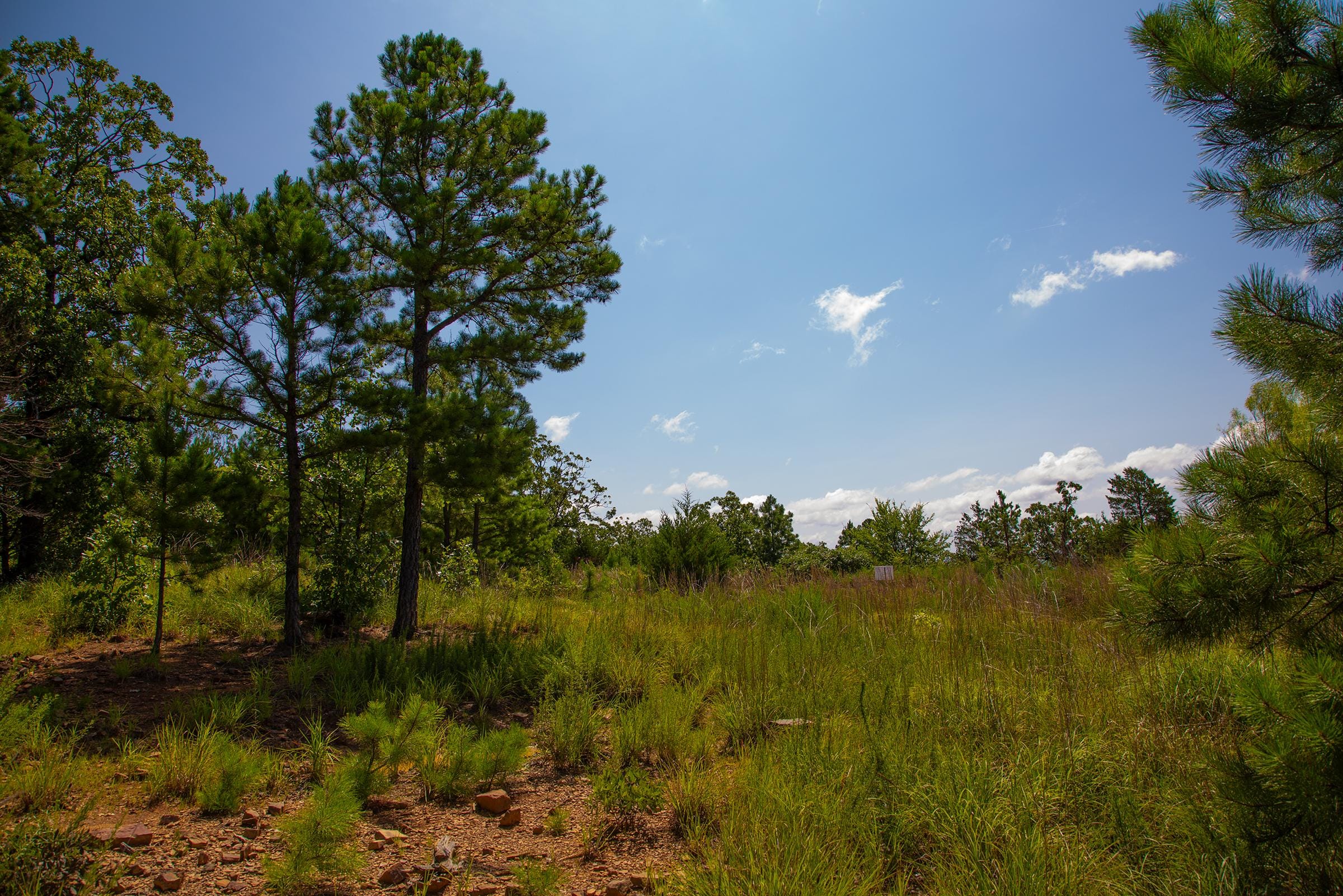 Tyler Stone Ranch Tract 82 photo 15