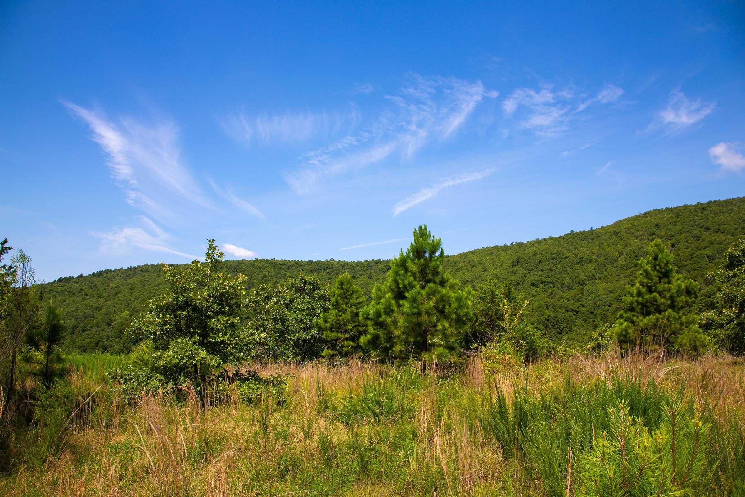Tyler Stone Ranch Tract 82 photo 16