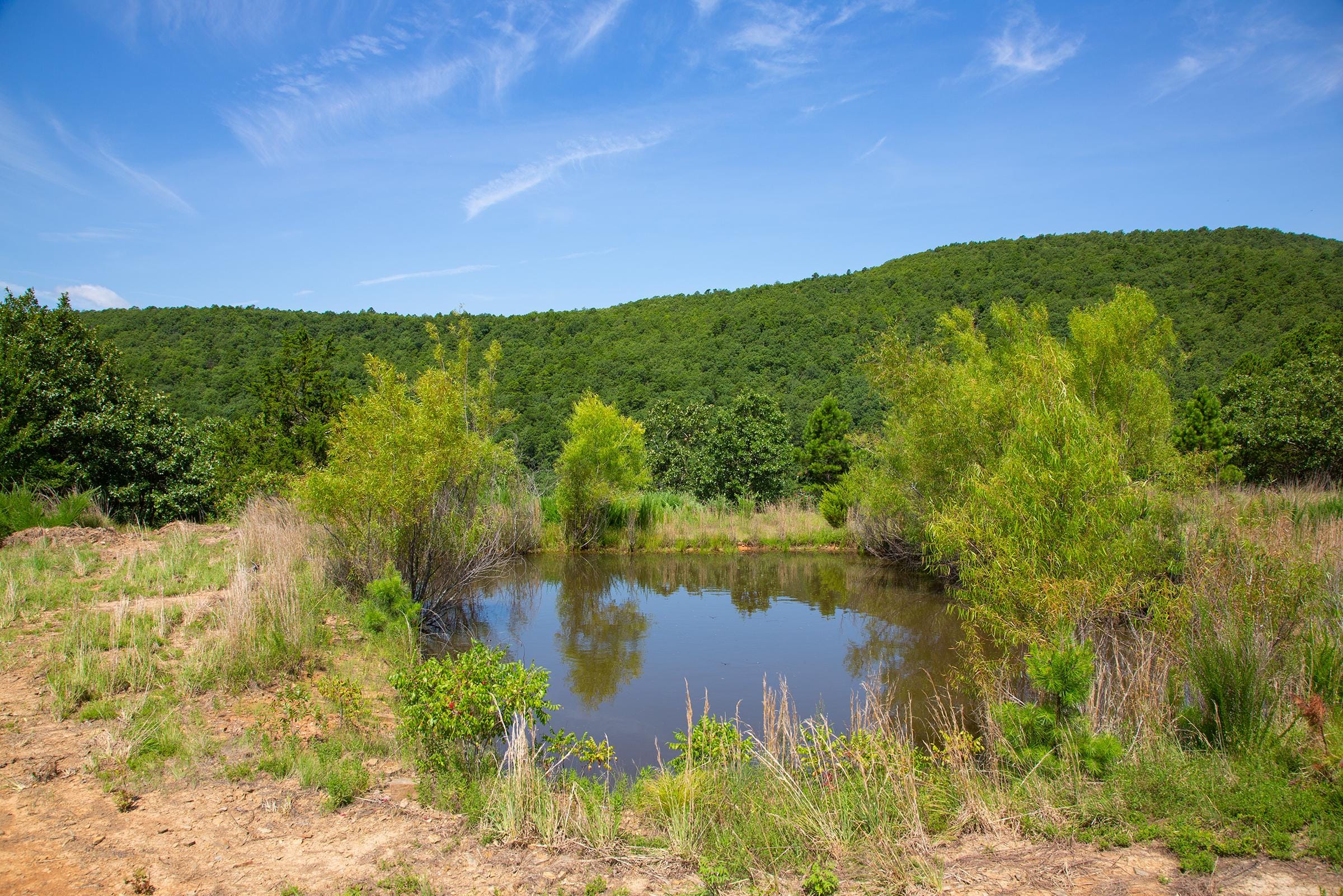 Tyler Stone Ranch Tract 82 photo 2