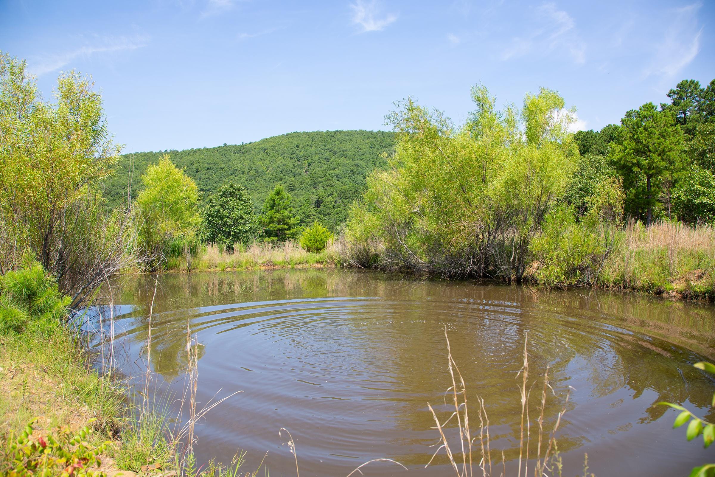 Tyler Stone Ranch Tract 82 photo 1