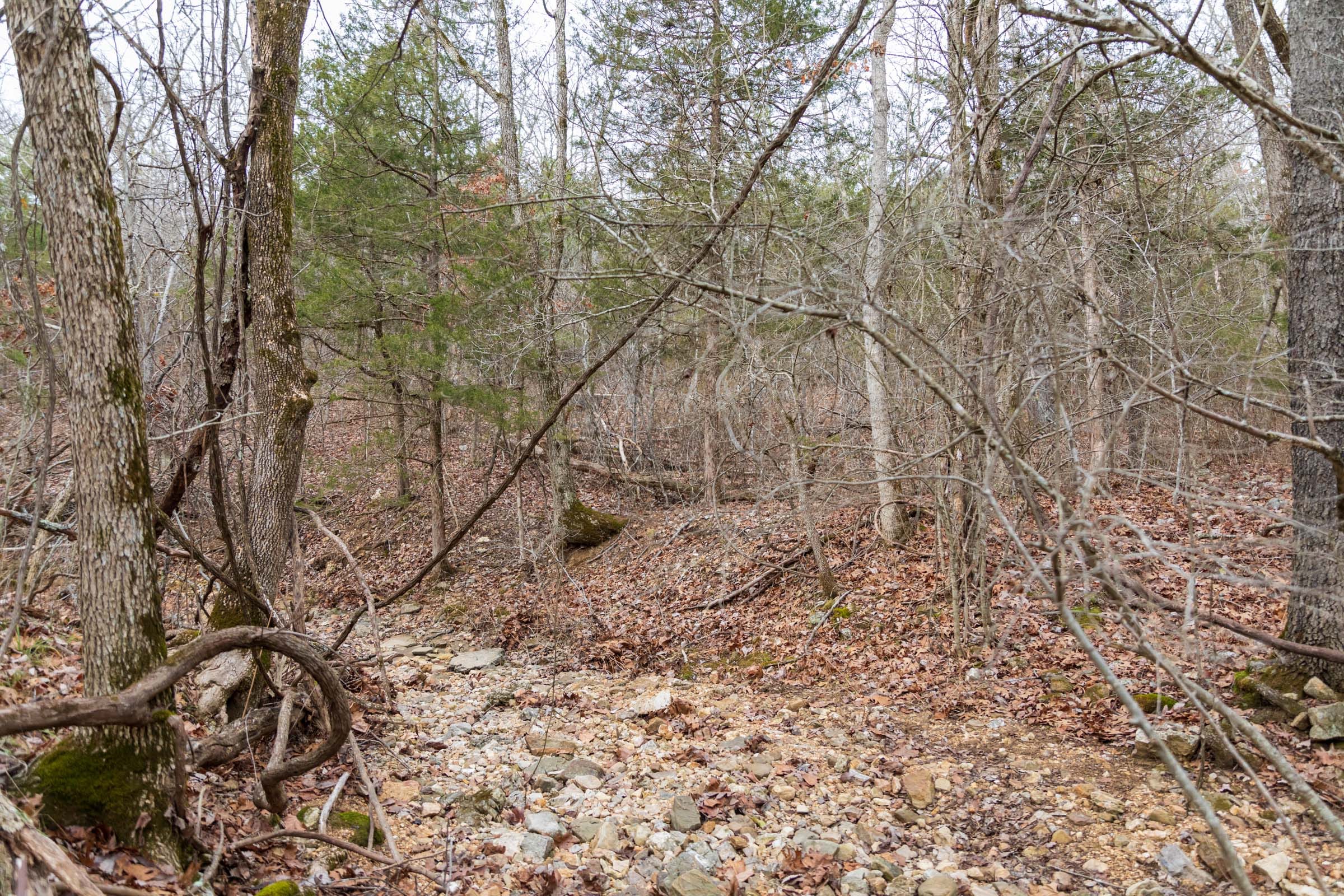 Crossroads Tract 3 photo 2