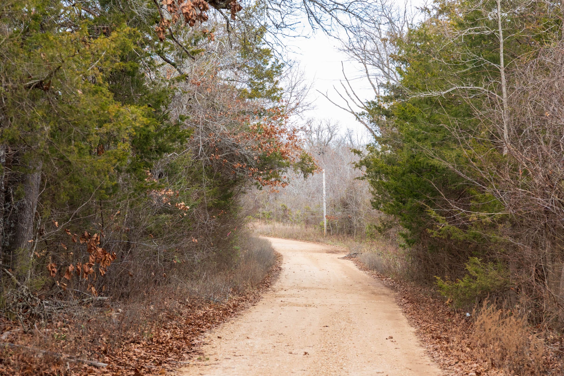 Crossroads Tract 3 photo 8