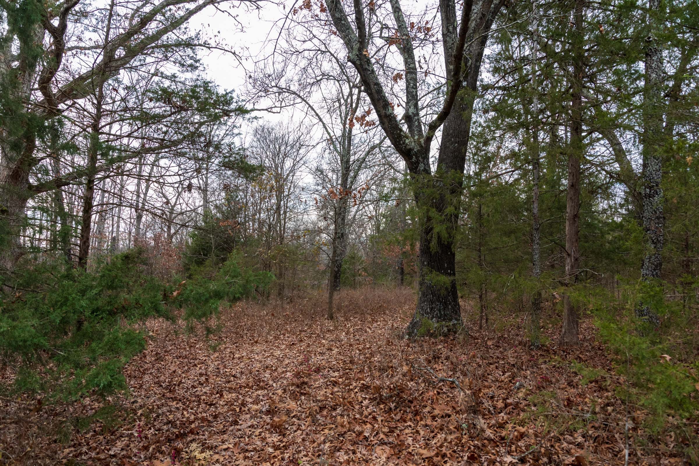 Crossroads Tract 3 photo 9