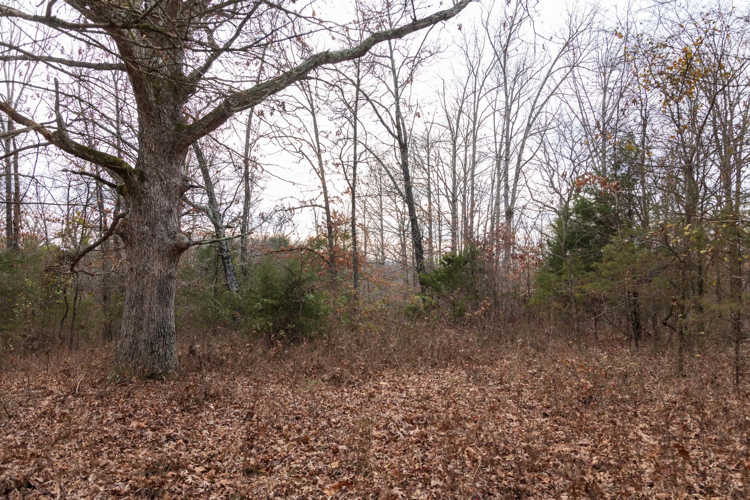 Crossroads Tract 3 photo 12