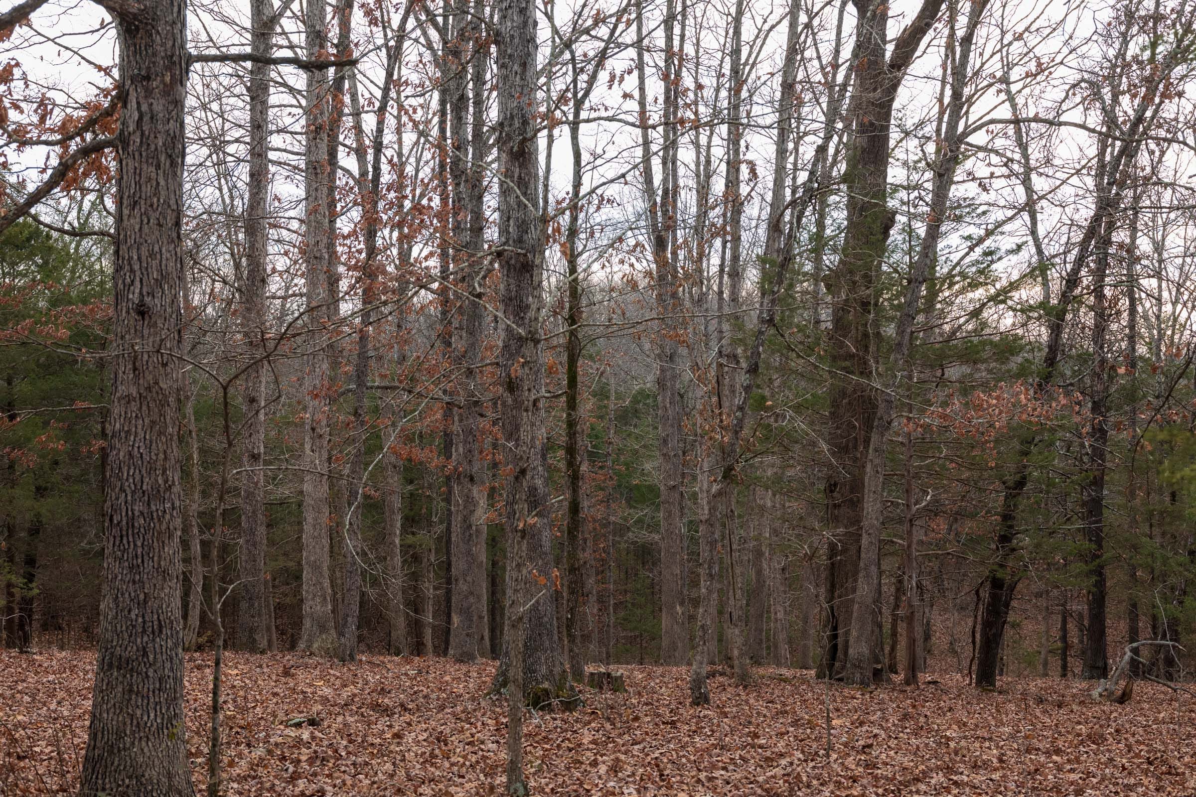 Crossroads Tract 3 photo 16