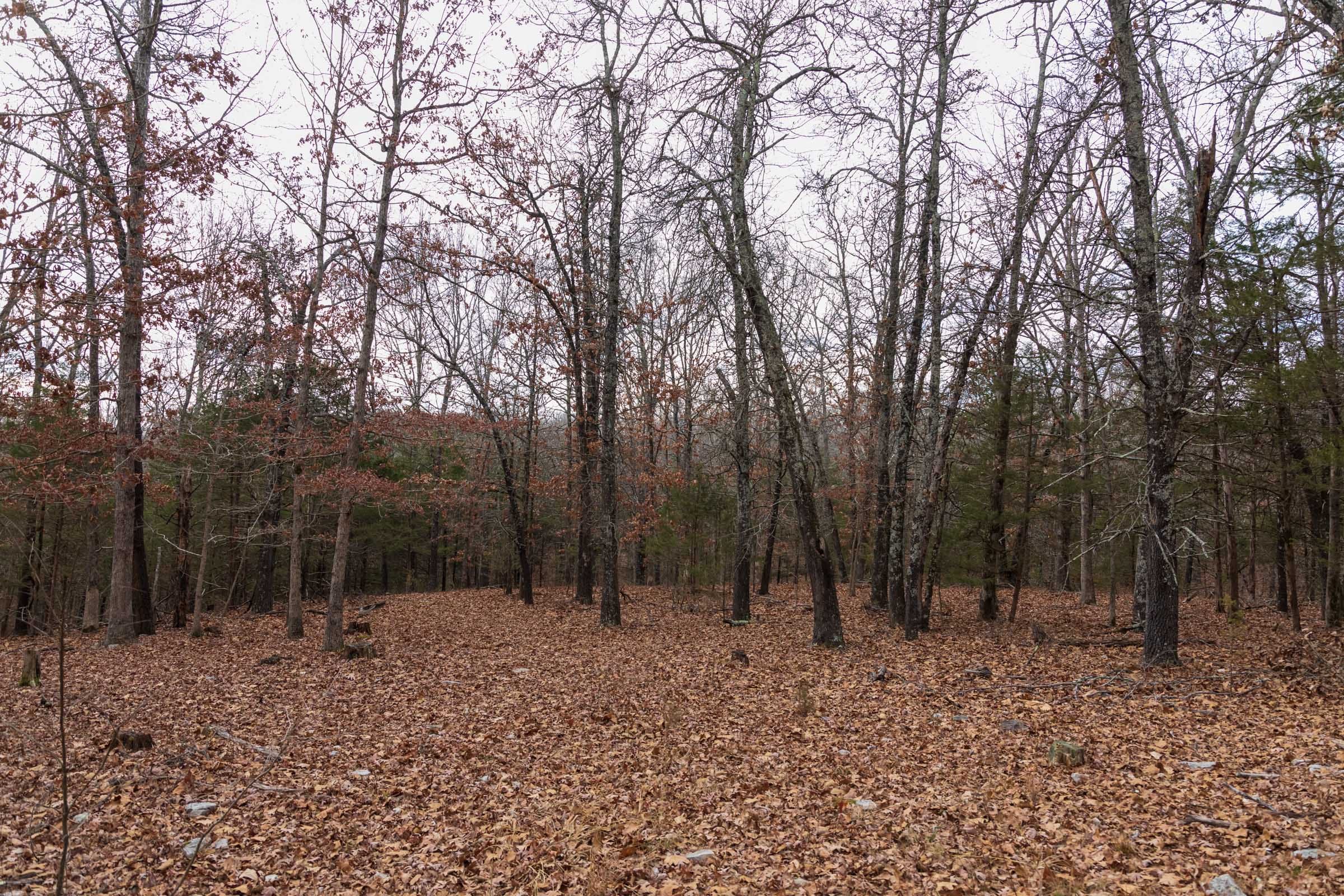 Crossroads Tract 3 photo 14
