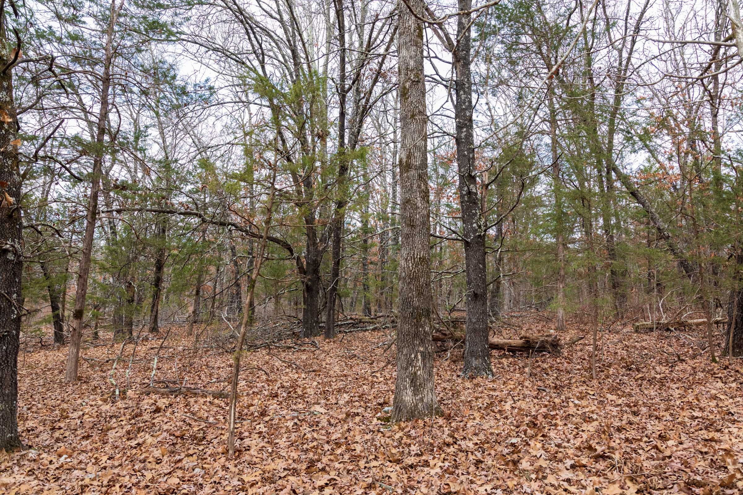 Crossroads Tract 3 photo 11