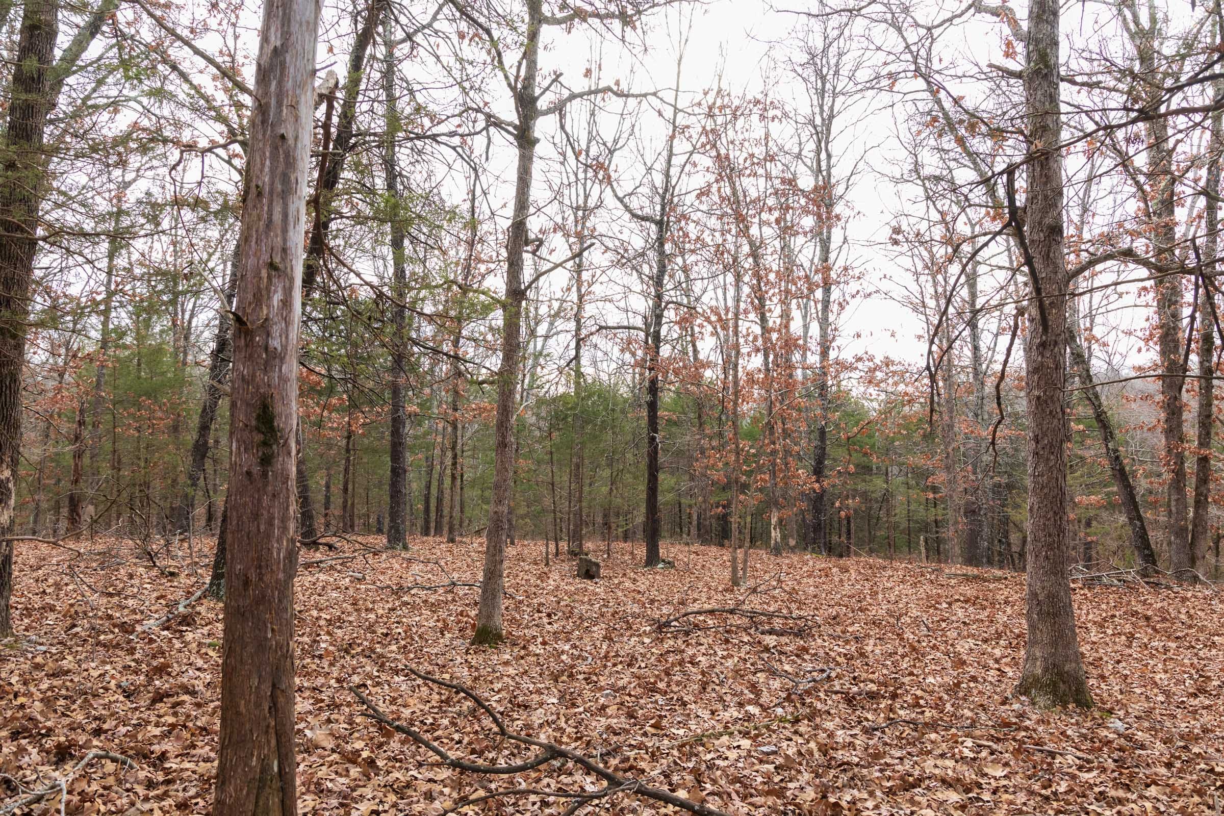 Crossroads Tract 3 photo 15