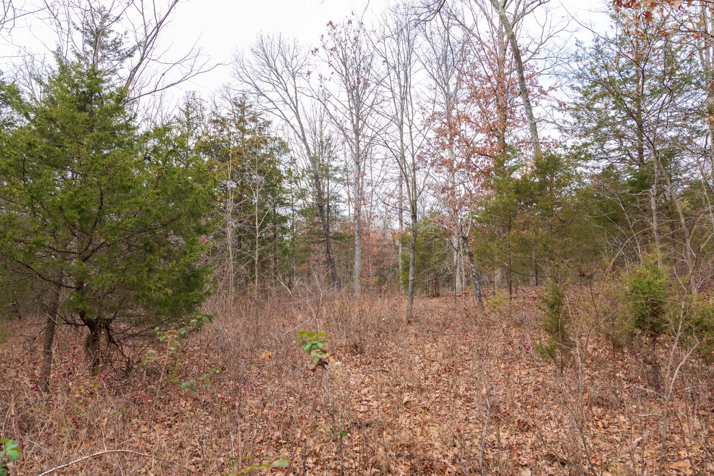 Crossroads Tract 3 photo 17