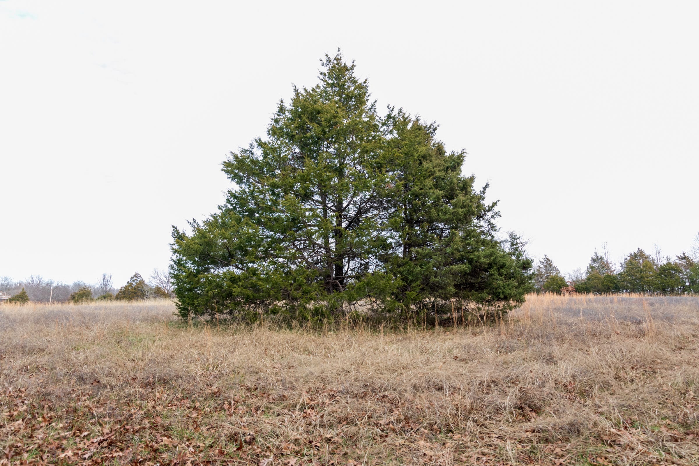 Crossroads Tract 3 photo 6