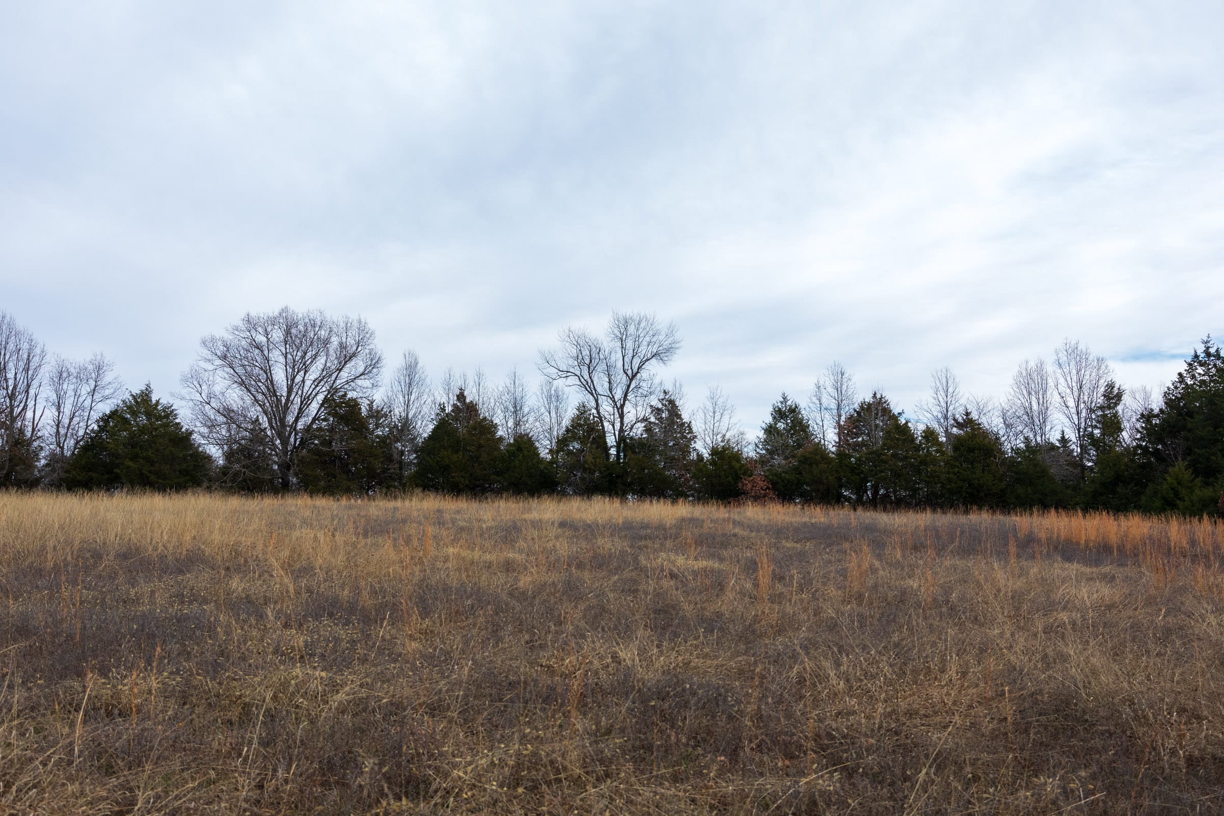 Crossroads Tract 3 photo 13