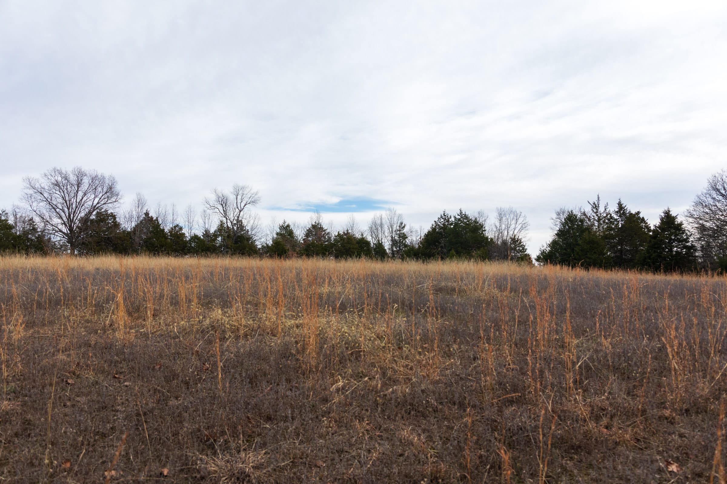 Crossroads Tract 3 photo 10