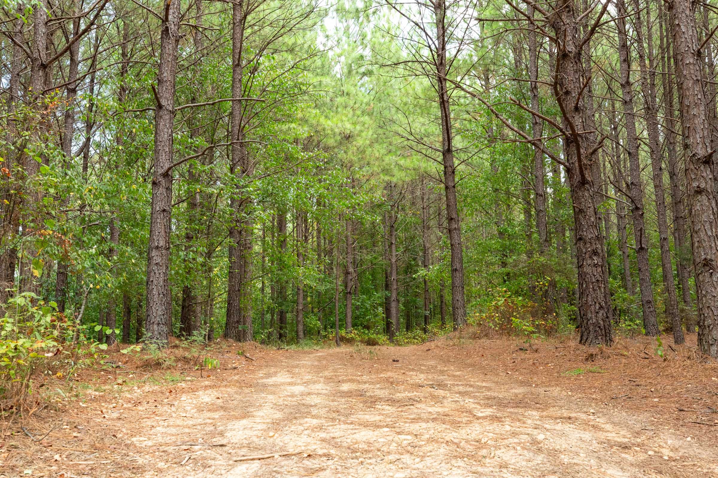 Harvest Ridge Tract 4 photo 1