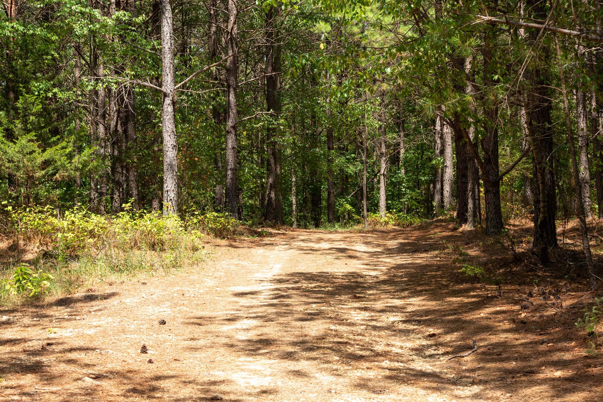 Harvest Ridge Tract 4 photo 8