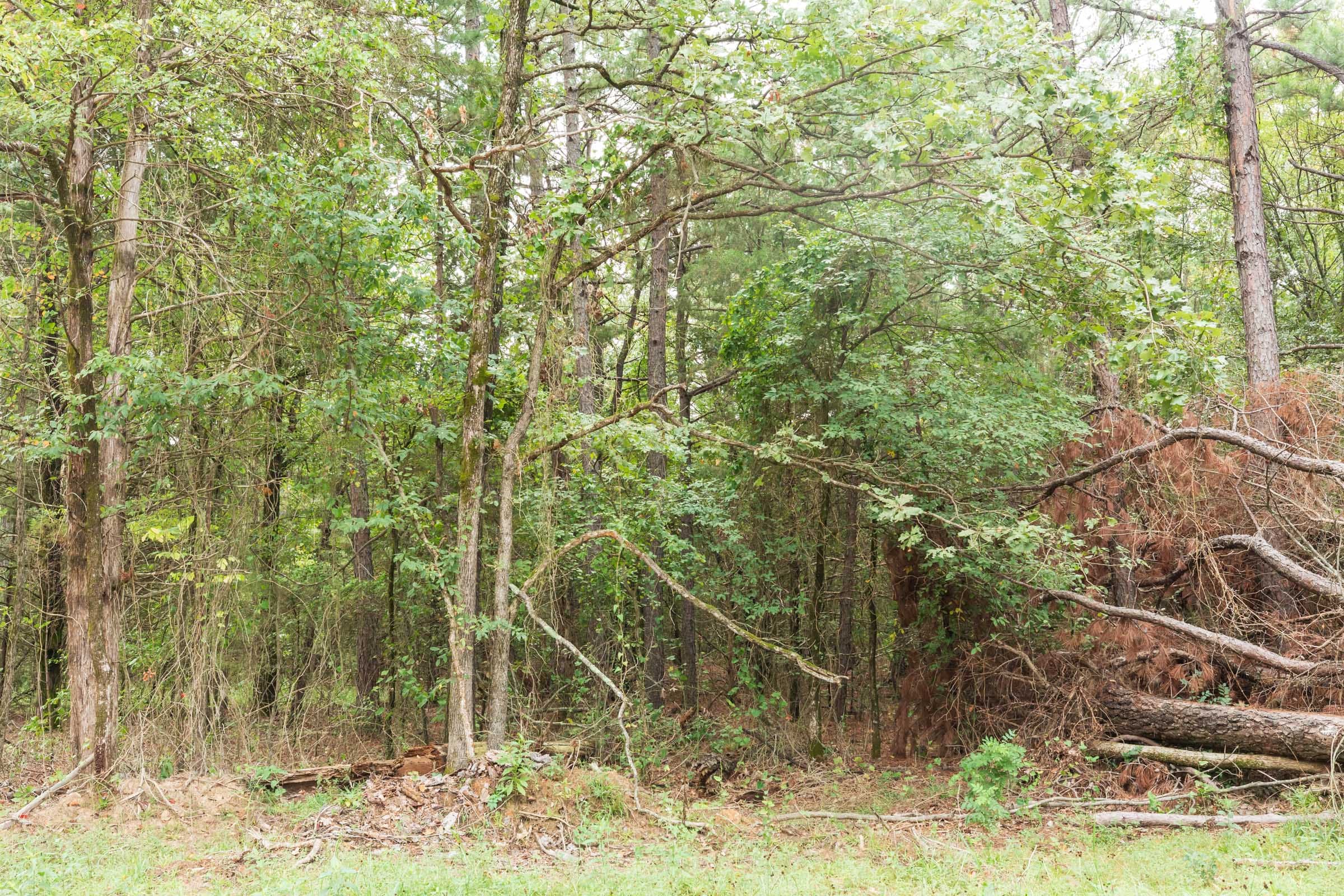 Stone Bridge Phase V Tract 417 photo 11