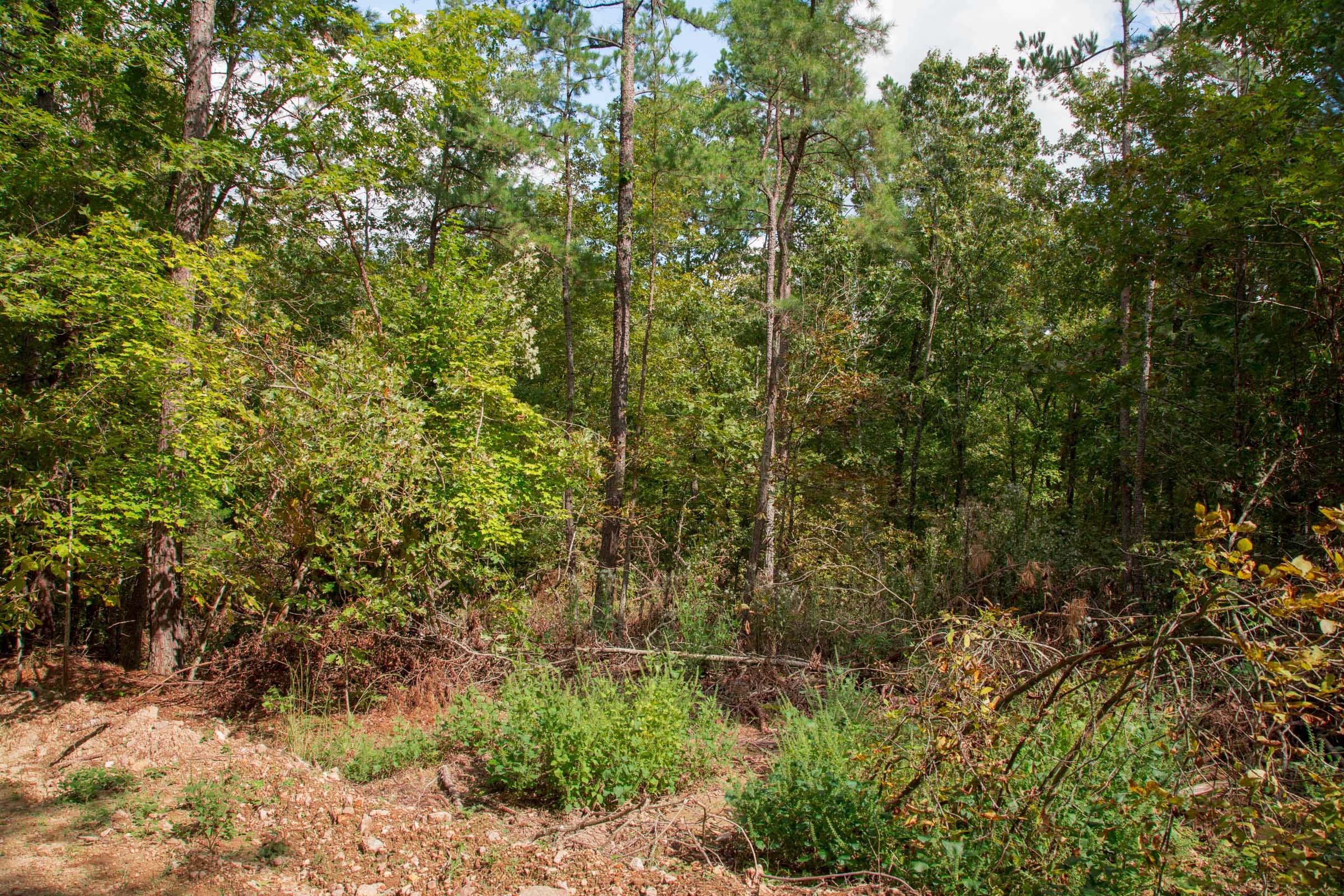 Wagon Wheel Ranch Tract 52 photo 3