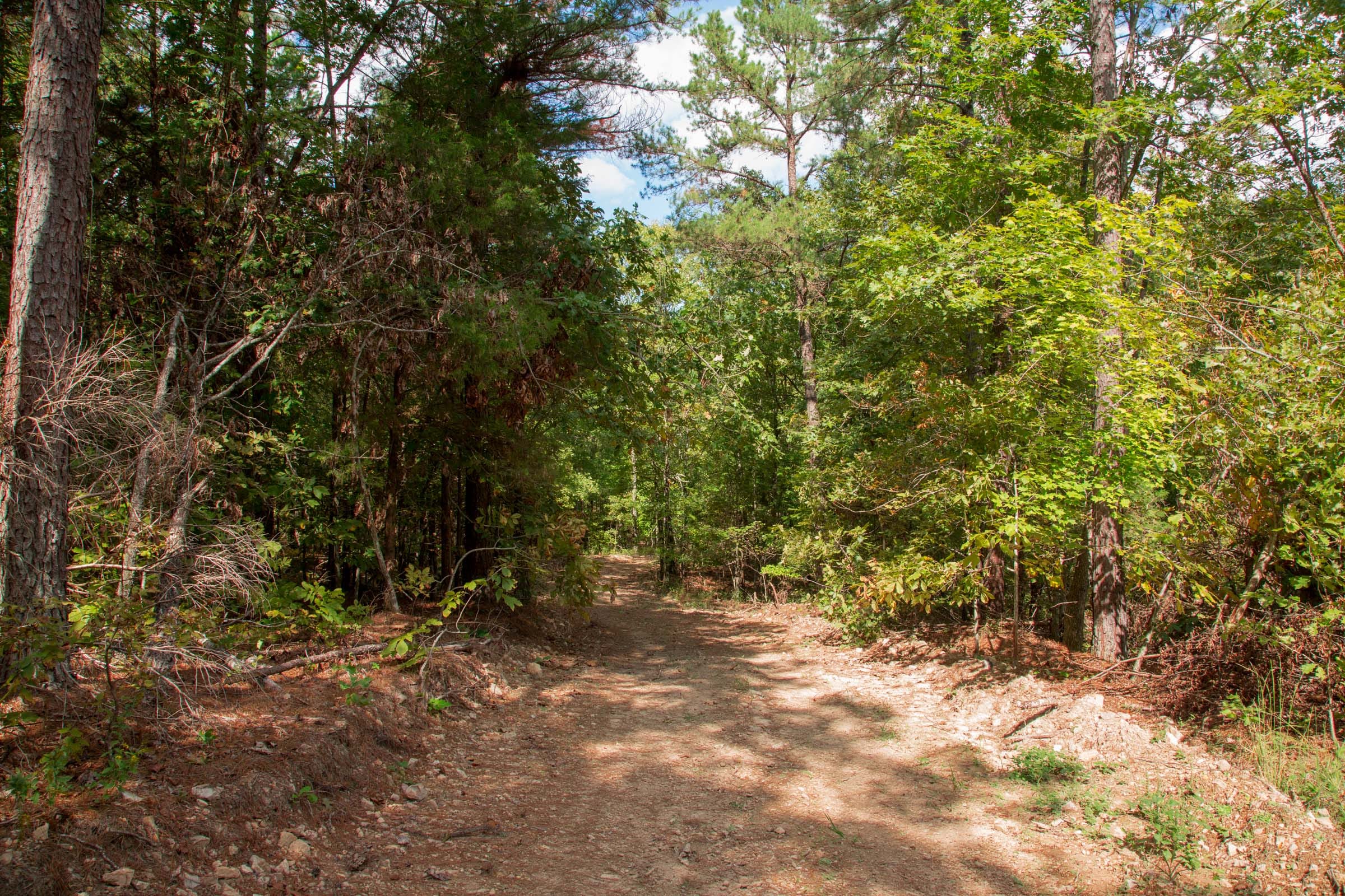 Wagon Wheel Ranch Tract 52 photo 5