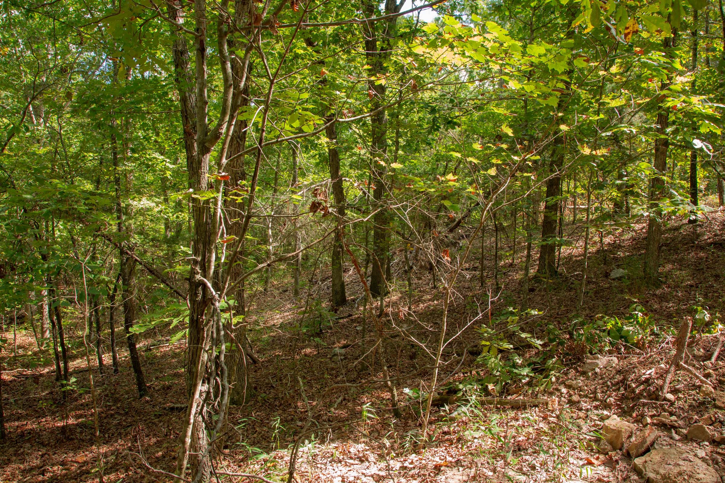 Wagon Wheel Ranch Tract 52 photo 7