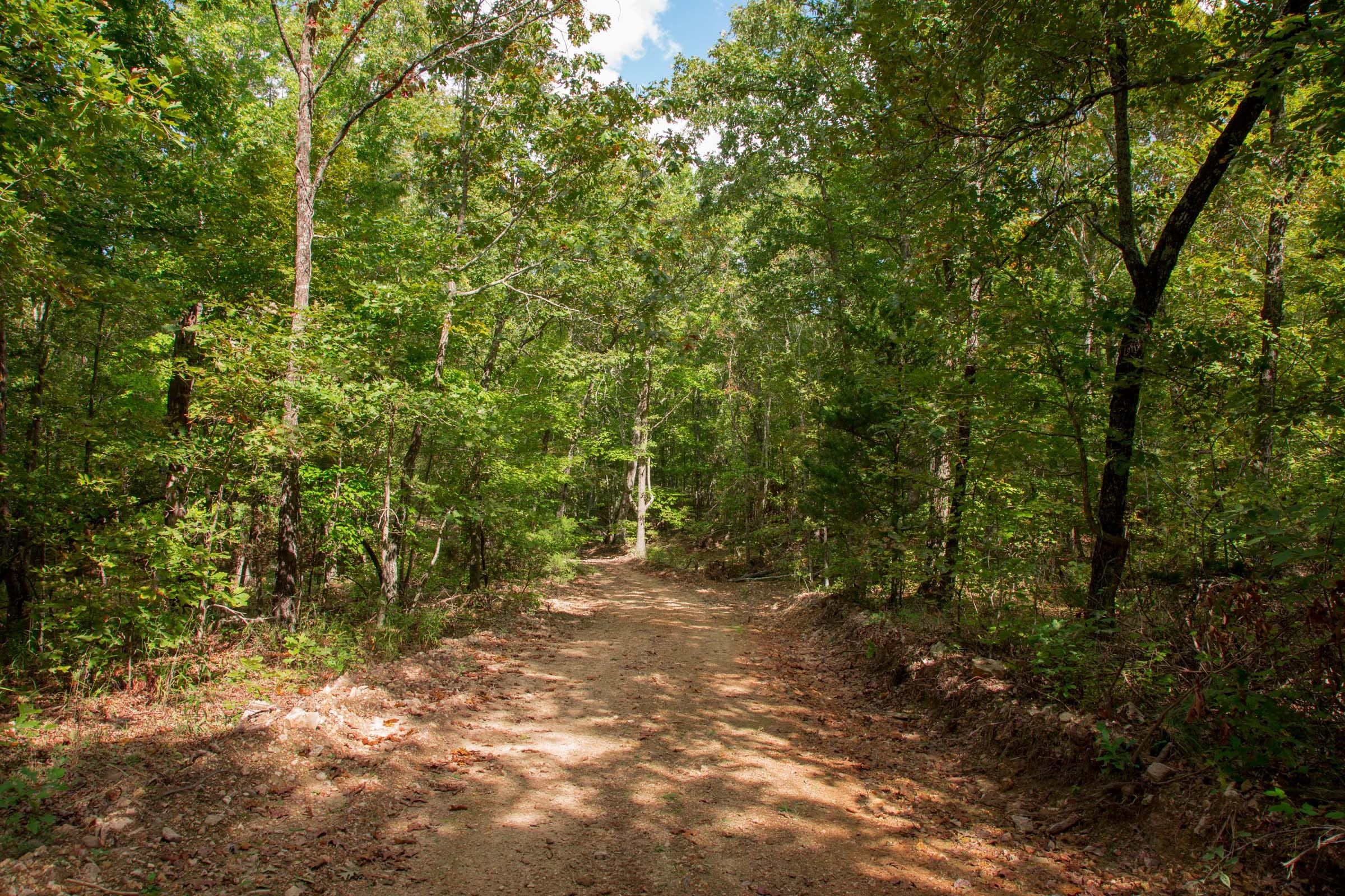 Wagon Wheel Ranch Tract 52 photo 8