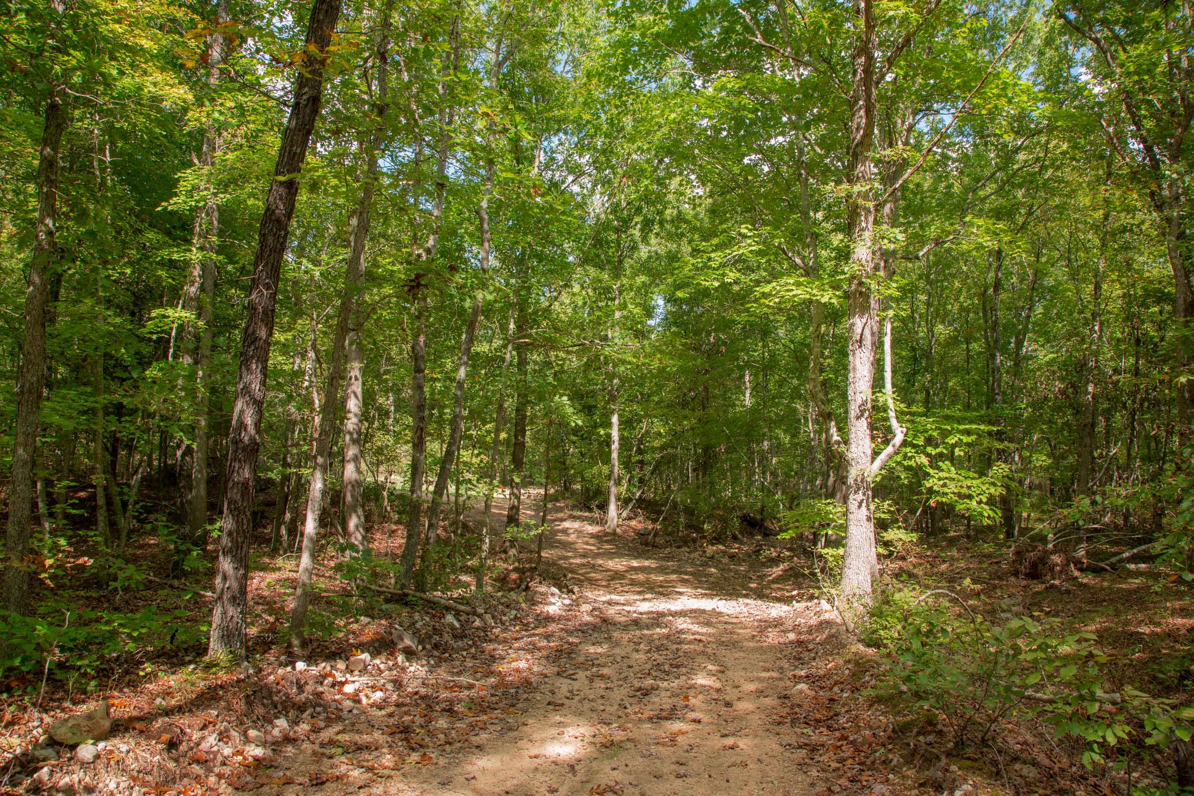 Wagon Wheel Ranch Tract 52 photo 11