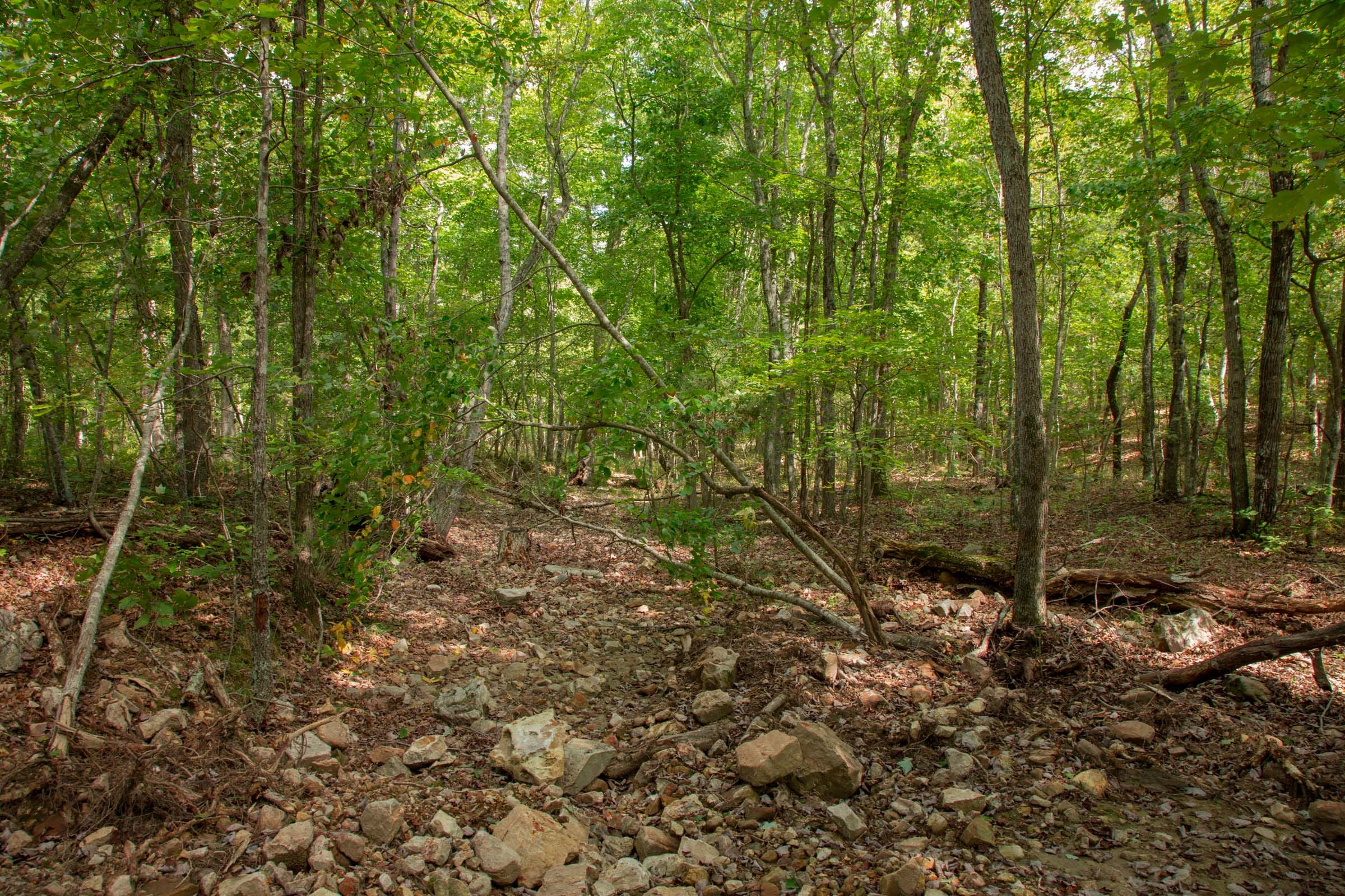 Wagon Wheel Ranch Tract 52 photo 12