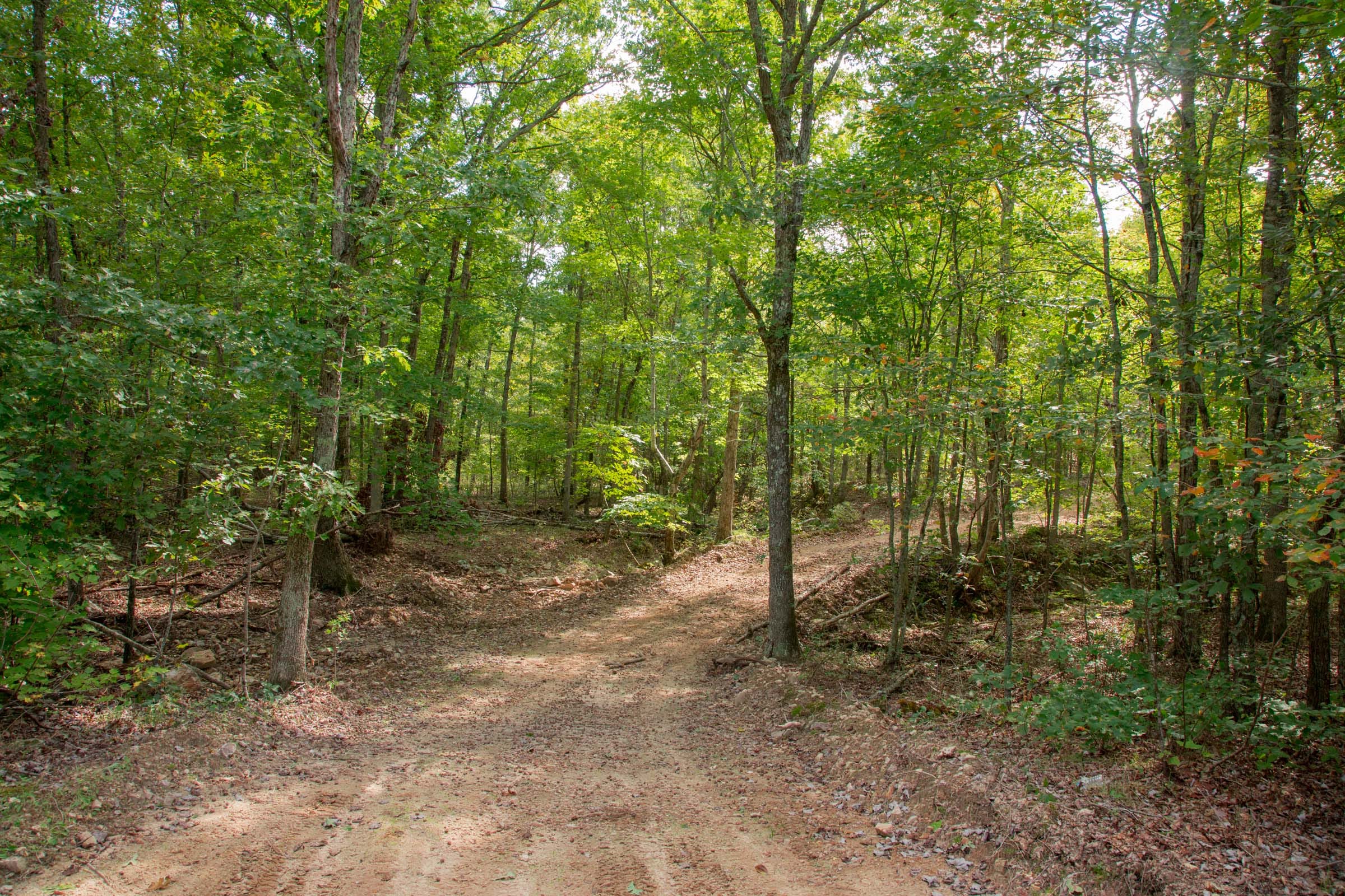 Wagon Wheel Ranch Tract 52 photo 14