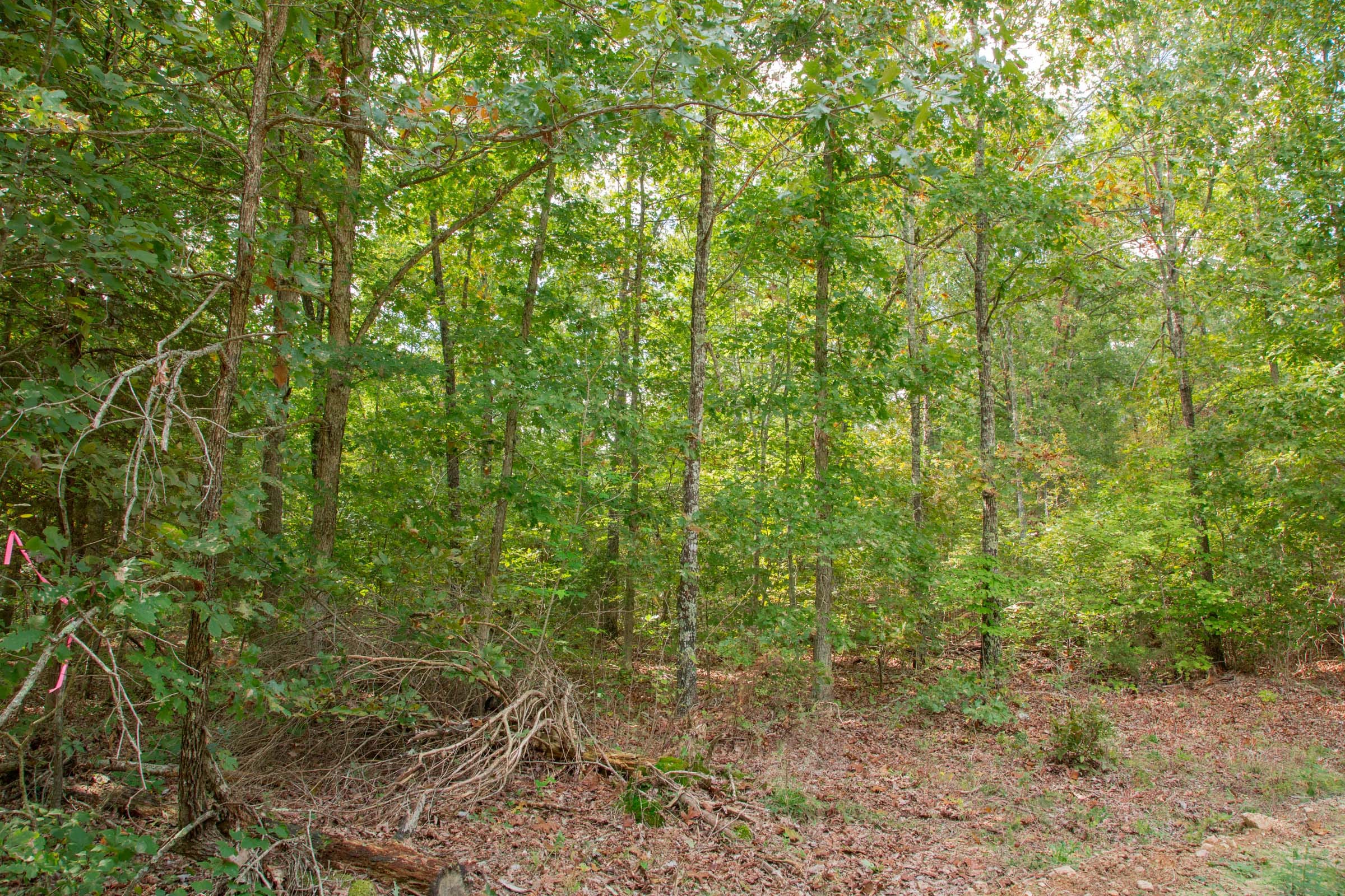 Wagon Wheel Ranch Tract 52 photo 15