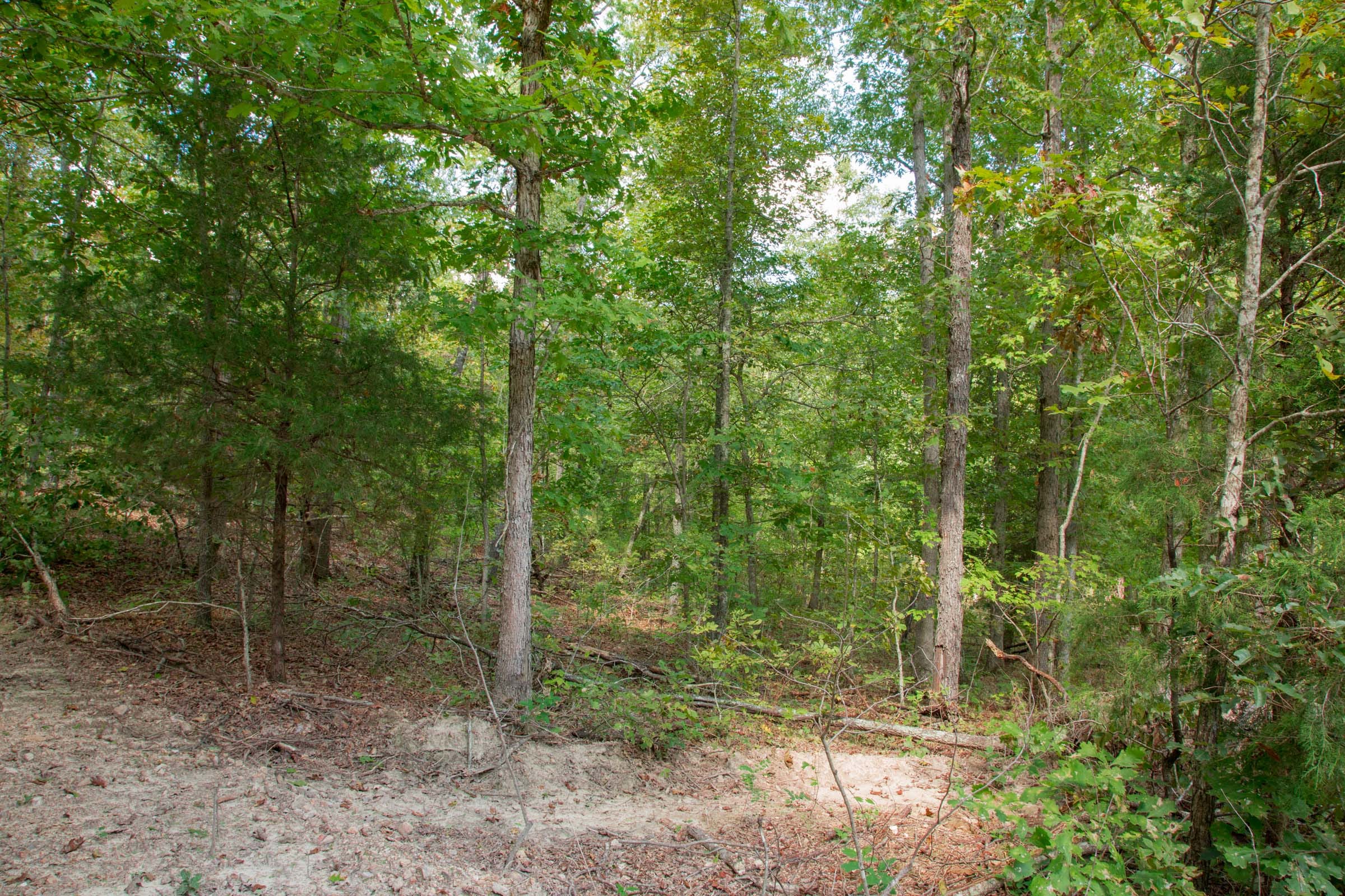 Wagon Wheel Ranch Tract 52 photo 1