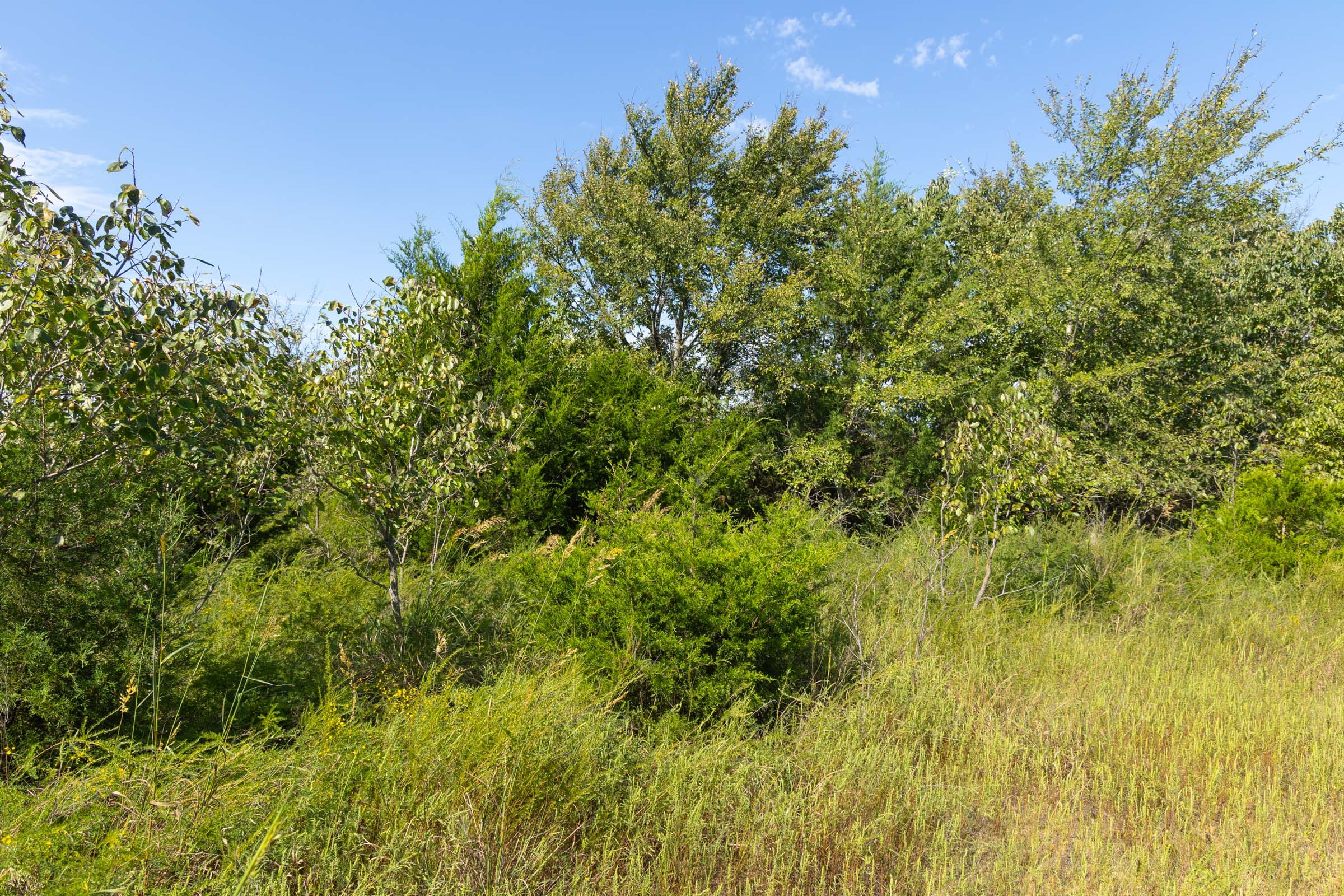 Reserves At Cattail Cove Phase II Tract 90 photo 15