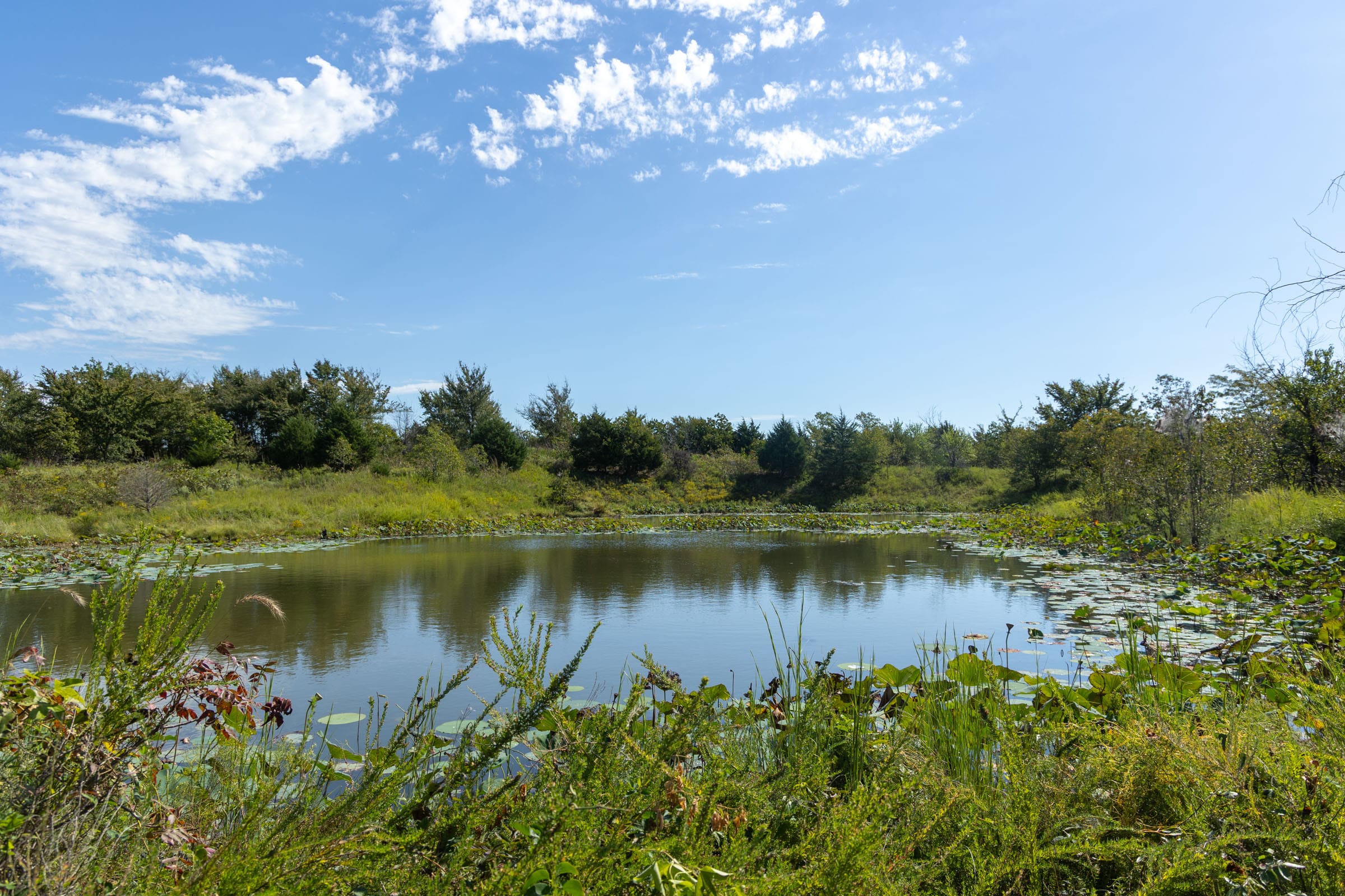 Reserves At Cattail Cove Phase II Tract 90 photo 6