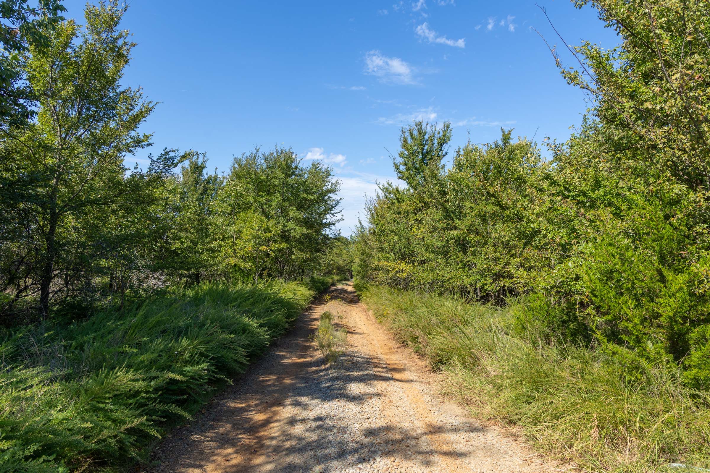 Reserves At Cattail Cove Phase II Tract 90 photo 3