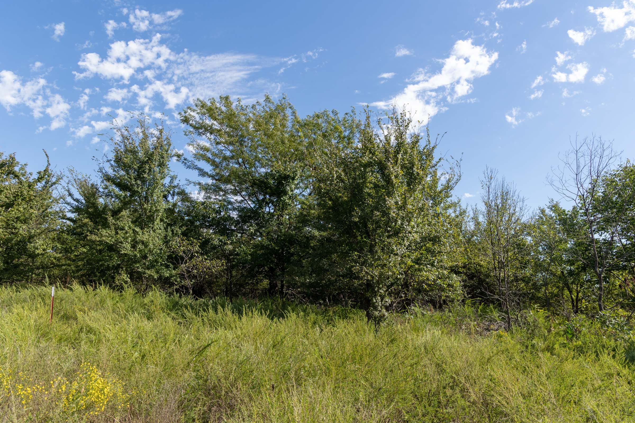 Reserves At Cattail Cove Phase II Tract 90 photo 13