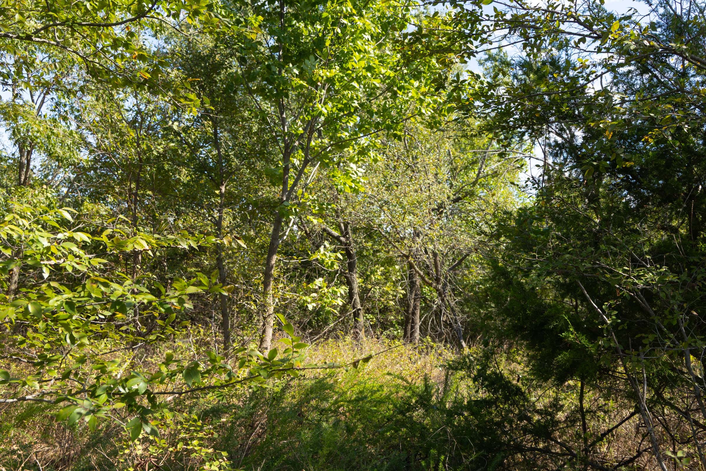 Reserves At Cattail Cove Phase II Tract 90 photo 12
