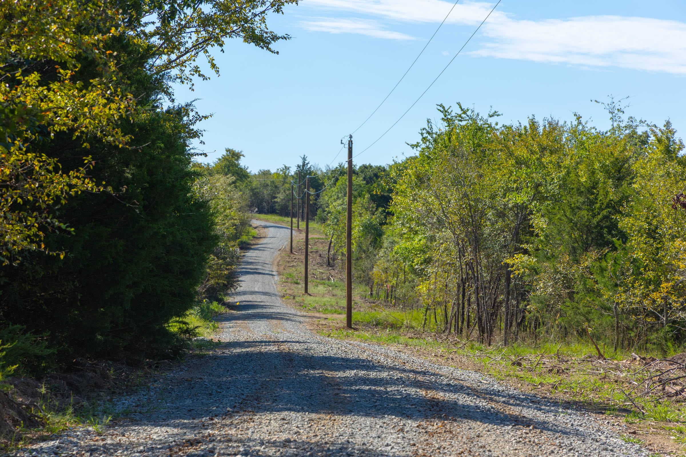Reserves At Cattail Cove Phase II Tract 90 photo 5