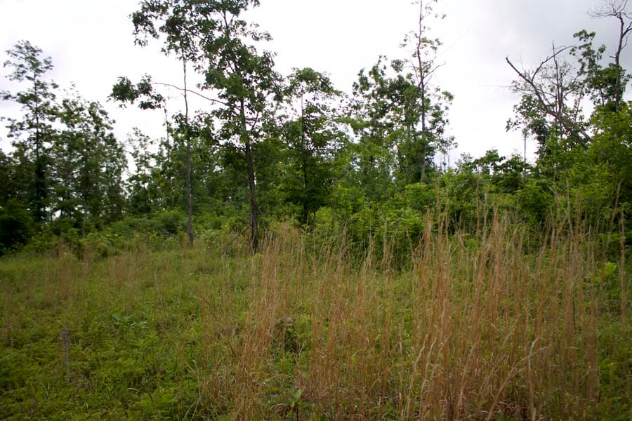 Thunder Mountain Ranch Tract 57 photo 6