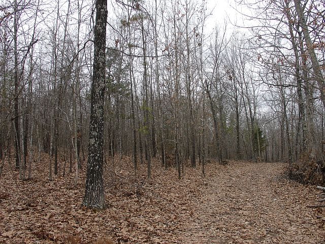 Barnes Hollow Tract 1 photo 2