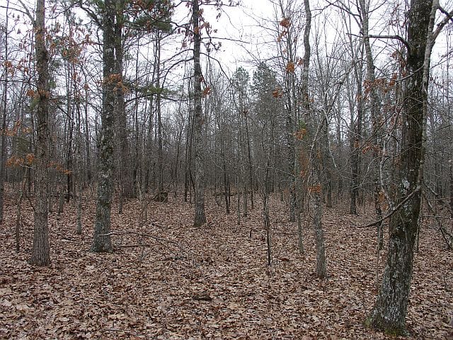 Barnes Hollow Tract 1 photo 3