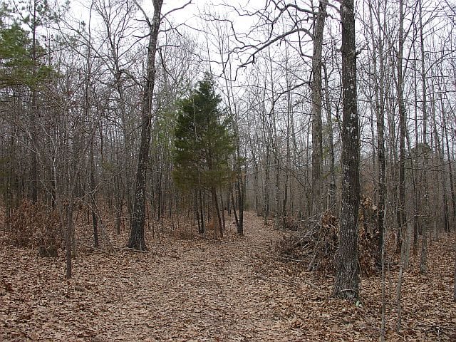 Barnes Hollow Tract 1 photo 4