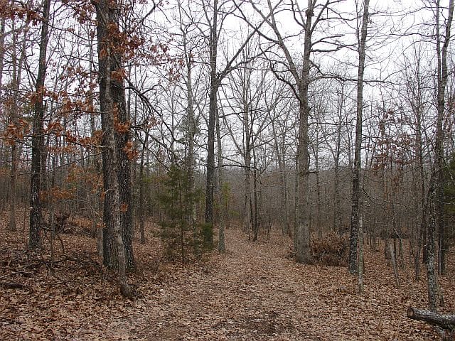 Barnes Hollow Tract 1 photo 5