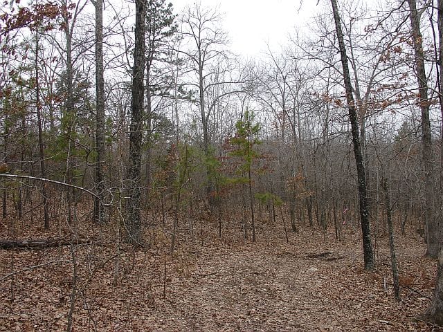 Barnes Hollow Tract 1 photo 6