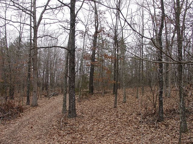Barnes Hollow Tract 1 photo 7