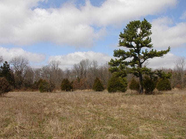 Barnes Hollow Tract 1 photo 8