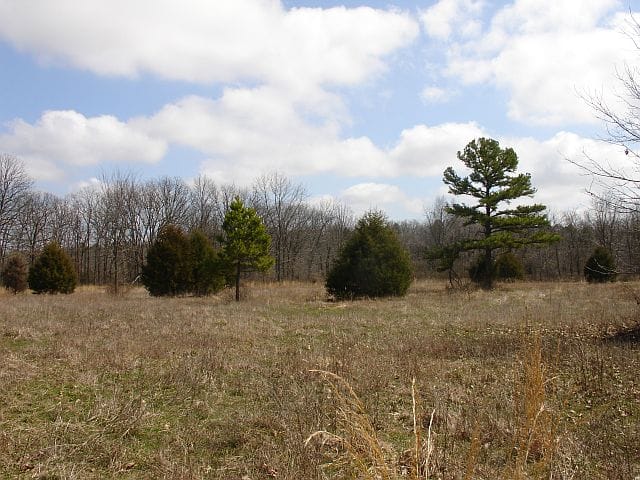 Barnes Hollow Tract 1 photo 9