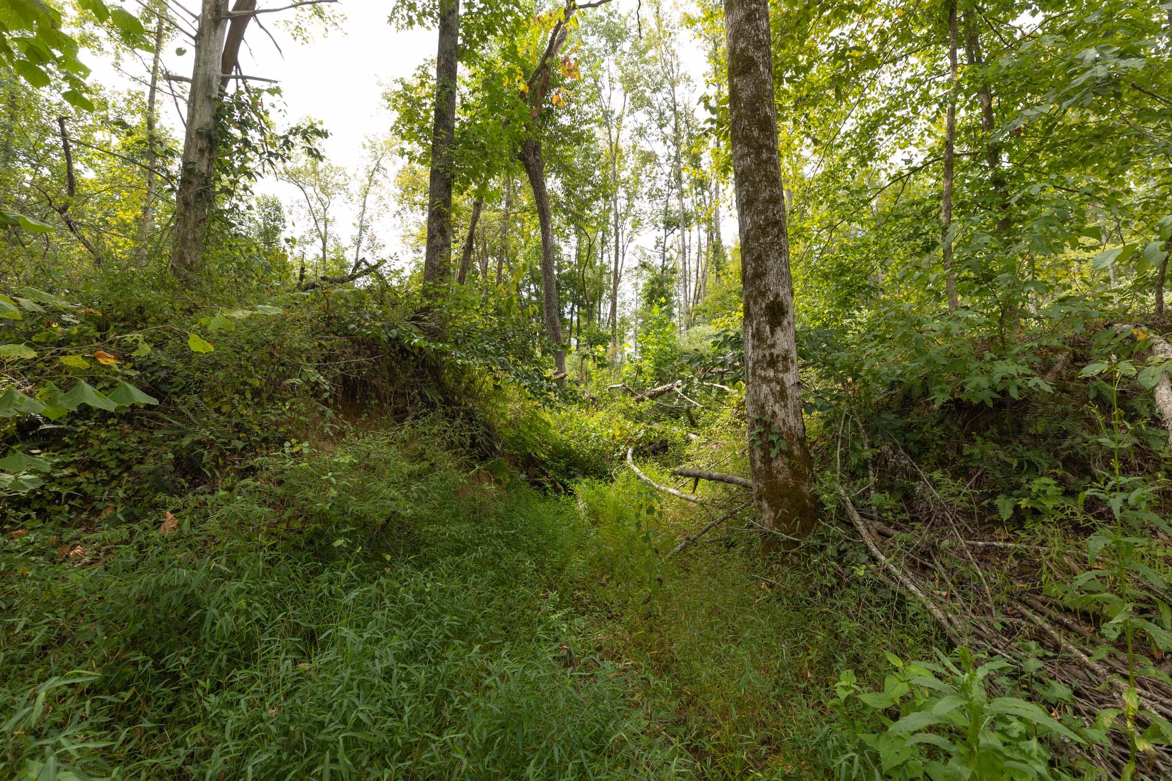 Big White Oak Tract 128 photo 14