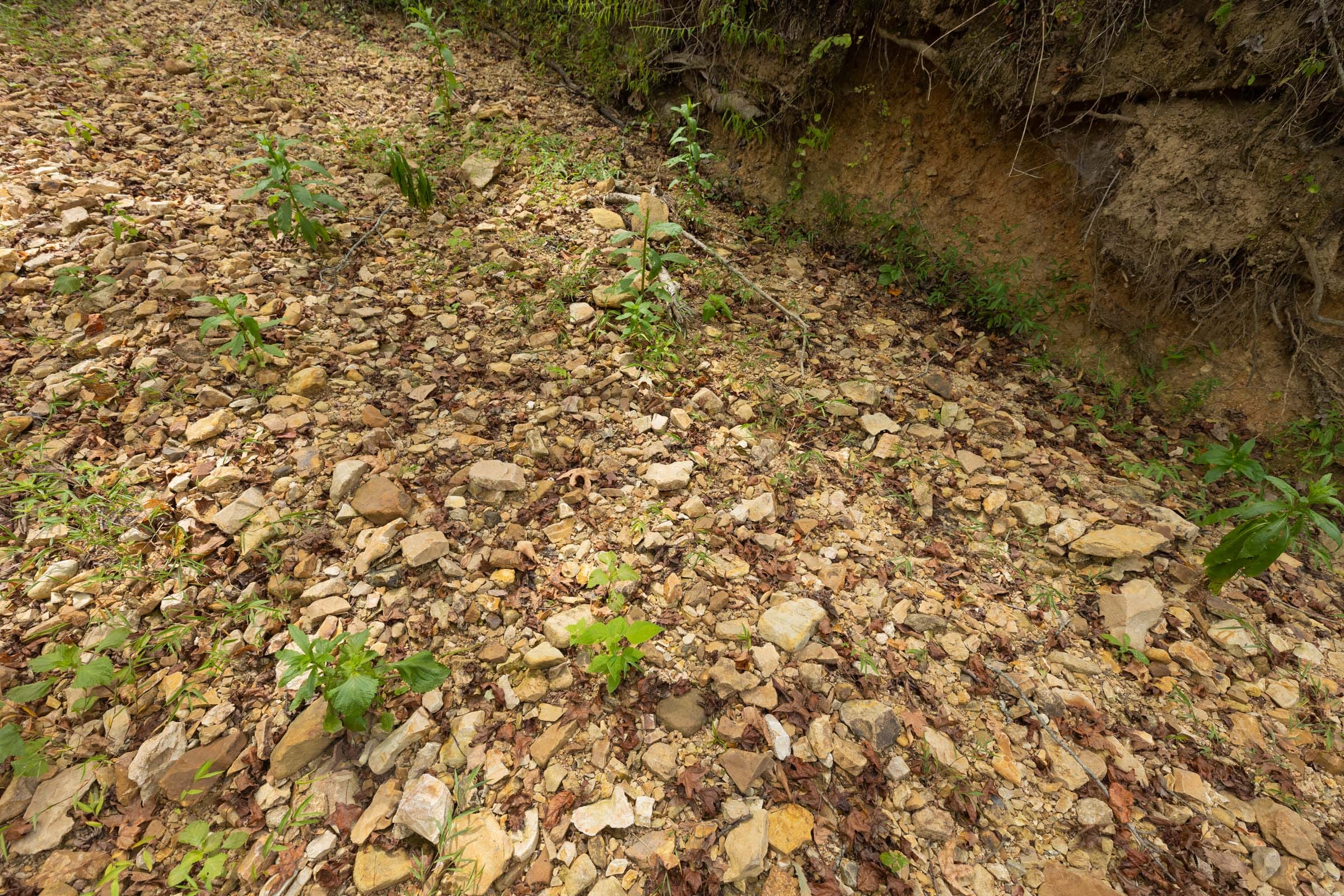 Big White Oak Tract 128 photo 13