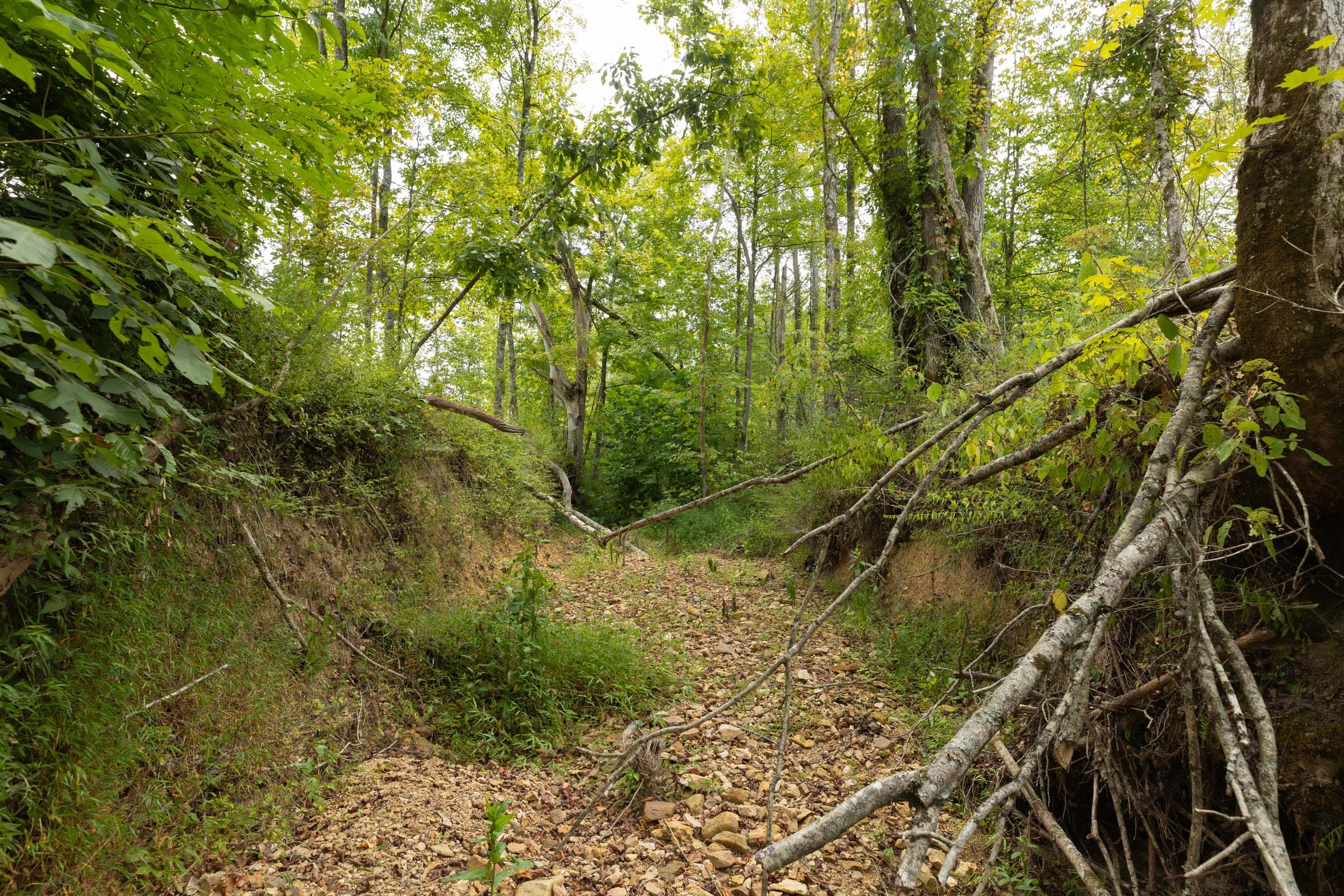 Big White Oak Tract 128 photo 11