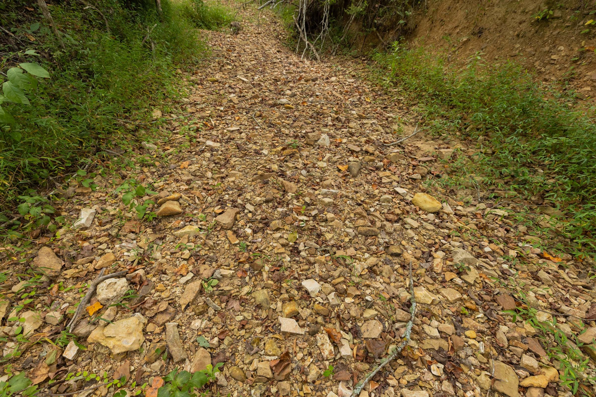 Big White Oak Tract 128 photo 10