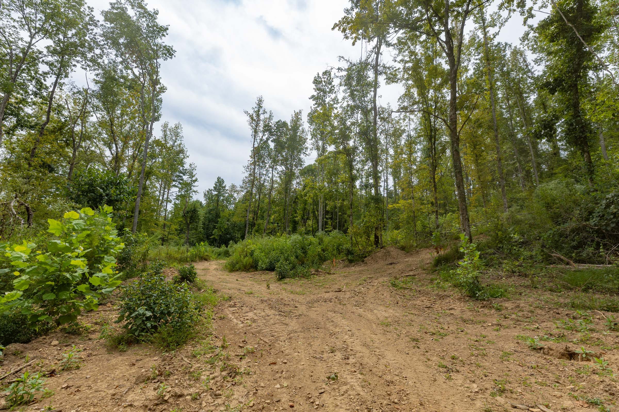 Big White Oak Tract 128 photo 7